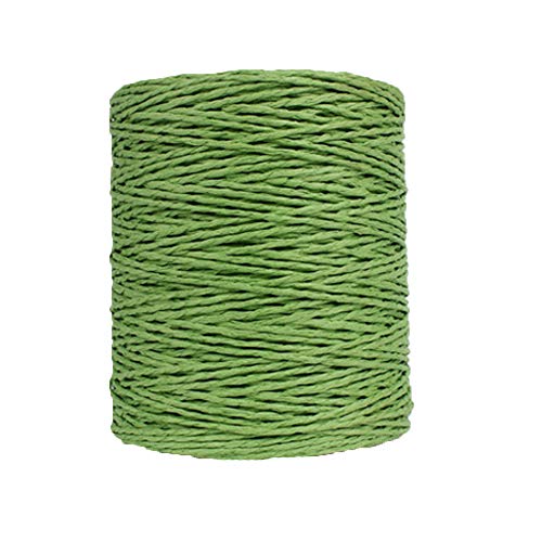 Natural Cotton Raffia Yarn Grass Green Sun Hat, Beach Bag Crochet Yarn, Rayon Knitting Materials - 280 Meters/306 Yards - color: Grass Green
