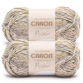 Caron Simply Me Mosaic Yarn for Crocheting & Knitting, Claypot, 2-Pack | #5 Bulky Yarn, 62% Acrylic, 20% Nylon & 18% Wool, Multicolor Yarn for Crochet, Knitting and Crafts, 173yd, 140g/5oz per skein - color: Claypot