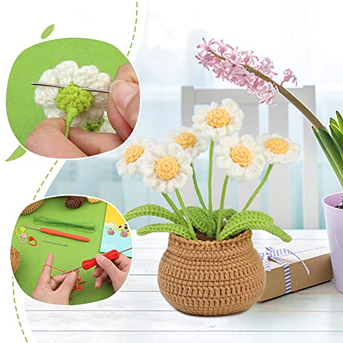 kgxulr Crochet Kit, Little Daisy Knitting Kit, Crochet Kit for Beginners | Crochet Kit for Beginners, Crochet Flower Kit, Beginner Crochet Kit for Adults with Step-by-Step Video Tutorials - color: A-Little Daisy