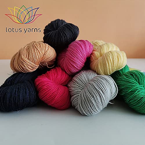 Lotus Yarns Swan Lake Lace Weight 50% Cashmere 40% Fine Wool 10% Angora Blended Hand Knitting Yarns for Comfortable Baby and Adult Clothing for Fashion Garment Baby Clothe (25) - color: 25