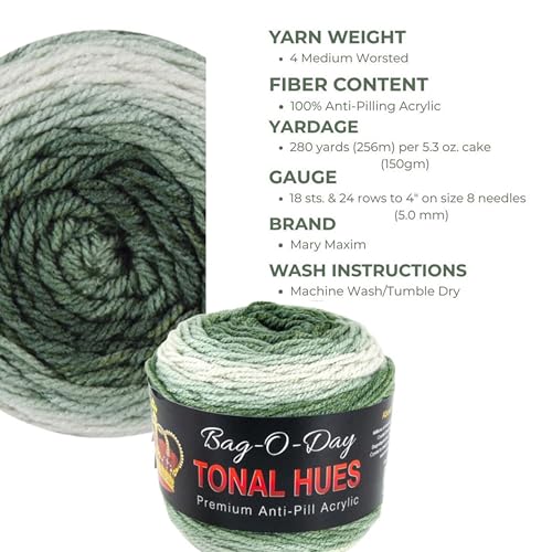 Mary Maxim Bag-O-Day Tonal Hues Ombre Yarn for Crocheting and Knitting, Medium Worsted Weight Anti-Pilling Acrylic Yarn Cake - 280 Yards, 5.3 OZ, The Garden Lodge - color: The Garden Lodge