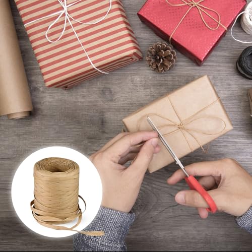 Natural Raffia Paper Ribbon Twine - 1/4 Inch x 218 Yards | Packing Paper Twine String for Gift Wrapping, Florist Bouquets, DIY Crafts, Christmas Crafts and Craft Ribbon for Crochet (Pack of 2) - size: 1.3 inches x 218 yards (Pack of 2)