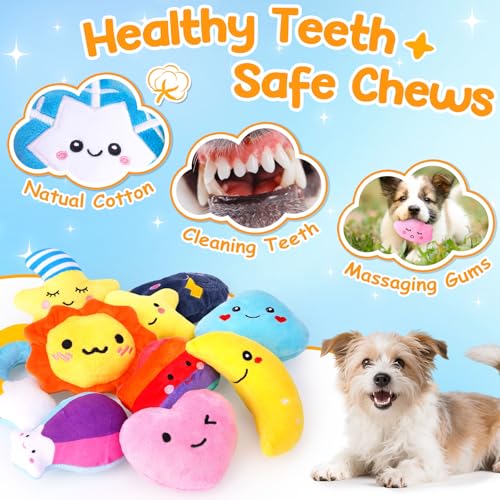 Weather-Themed 20-Pack Squeaky Dog Toys Set | Built-In Squeakers,Soft Plush,Interactive Play,Keeps Dogs Engaged - style: Weather-Themed Squeaky Toys