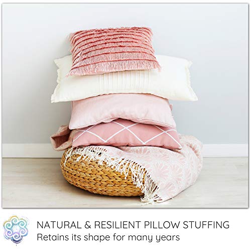 Lambswool Natural White Clean Fluffy Classic Fiber for Toy Stuffing & Filling, 5LB - size: 5 LB