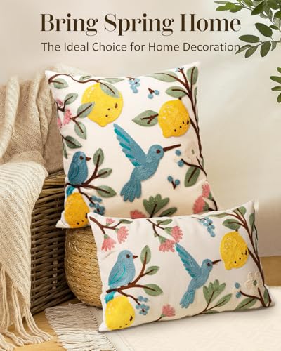 Embroidered Throw Pillow Cover 20x20 Inch, Bird Lemon | Decorative Pillow Cover, Farmhouse Cushion Case with Hidden Zipper, Cottagecore Decor for Couch, Sofa, Living Room, Bedroom - color: Bird Lemon, size: 20" x 20" (Pack of 1)