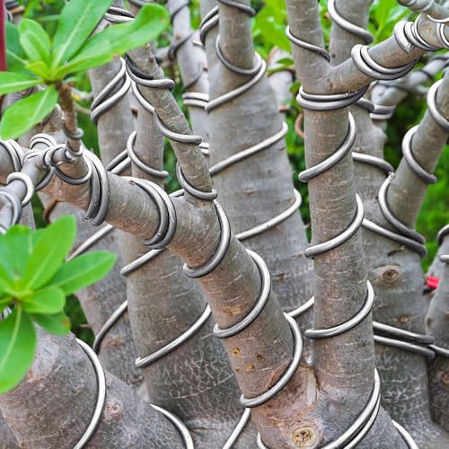 Pelopy Aluminum Armature Wire Bendable Sculpting, Silver, 1/8 Inch,50ft | Thick Metal Wire for Dolls and Floral Designs, Jewelry Making and Weaving Crafts, Holds Shape Well for Art Projects - size: 1/8 Inch,50ft