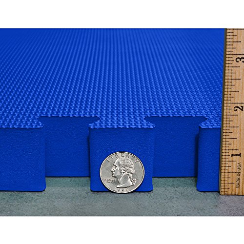 Meister X-Thick 1.5" Interlocking EVA Foam Mats - BL - 16 Tiles (64 Sqft) | Extra-thick 2X cushioning w/ anti-slip grip. 2' x 2' puzzle mats for wrestling, MMA, gymnastics, home gyms and play areas - color: Blue, size: 16 Tiles (64 Sqft)