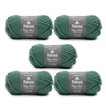 Patons Classic Wool Rich Grass Yarn - 5 Pack of 3.5oz/100g - Wool - 4 Medium - 210 Yards - Knitting/Crochet - color: Rich Grass, size: 5 Pack
