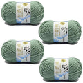 Caddice Comfy Blend Milk Wool Starter Kit - 4 Rolls Soft, Plain, Bulk Yarn for Knitting, Crochet, Handcrafts - color: MINT