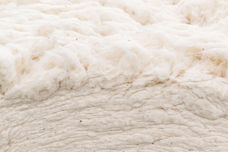 Grown in the USA Raw Cotton Stuffing, Batting, Filling (1lb) - size: 1lb