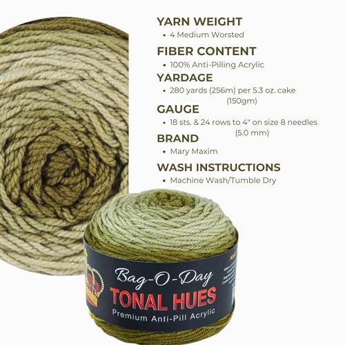 Mary Maxim Bag-O-Day Tonal Hues Ombre Yarn for Crocheting and Knitting, Medium Worsted Weight Anti-Pilling Acrylic Yarn Cake - 280 Yards, 5.3 OZ, Not for The Money But for The Music - color: Not For The Money But For The Music