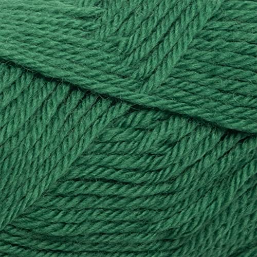 Knit Picks Wool of the Andes Green 100% Wool Yarn Pack for Knitting | 10 skeins (500g total) of soft worsted weight crocheting yarn in Grass color, good for felting. - color: Grass