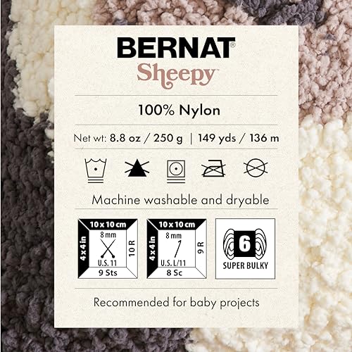 Bernat Sheepy Rosemary Yarn - 2 Pack of 250g/8.8oz - Nylon - 6 Super Bulky - 149 Yards - Knitting/Crochet - color: Rosemary