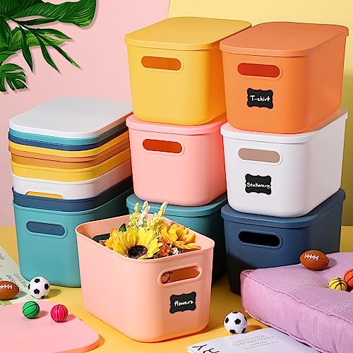Thyle 12 Pack Classic Colorful Plastic Storage Bins with Lids, Back to School Stackable Storage Container with Handle Label for Organizing Toy Craft for Classroom Shelf Bedroom Office 10 x 7 x 6 Inch - color: Multicolored