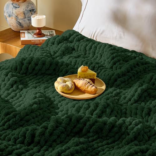 Inhand Dark Green Chunky Chenille Yarn for Hand Knitting,Thick Bulky Christmas Blanket Yarn for Crocheting,Soft Fluffy Yarn for Crochet Holiday Gifts for Women/Beginners,12 Pack (29.5Yds/8.4oz Each) - color: Dark Green, size: 12 Pack