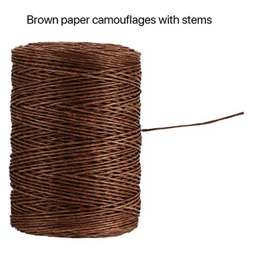 Syhood 673 Feet Floral Vine Bind Wire Rustic Craft Wire, Brown | For DIY Craft Wrapping, Flower Bouquets Garland Arrangements, , Christmas Wreath Making - color: Brown, size: 673 Feet
