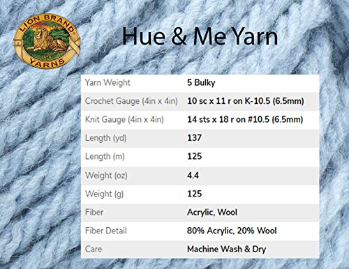 Lion Brand Yarn Hue & Me 617-172 Sea Glass | 3 Skeins, Same Dye Lot, Project Bag, CYC #5 Bulky-Chunky, 80% Acrylic-20% Wool, Ideal for Crochet, Knitting Chunky Blankets - color: 617-172-Sea Glass