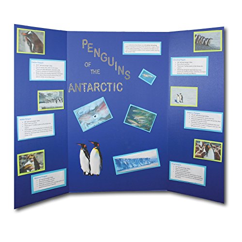 Flipside Products 36” x 48” Project Boards for Presentations, Science Fair, School Projects, Event Displays and Trifold Picture Board, Proudly Made in USA – Assorted Colors - 24 Pack - color: Assorted, size: 24 Pack