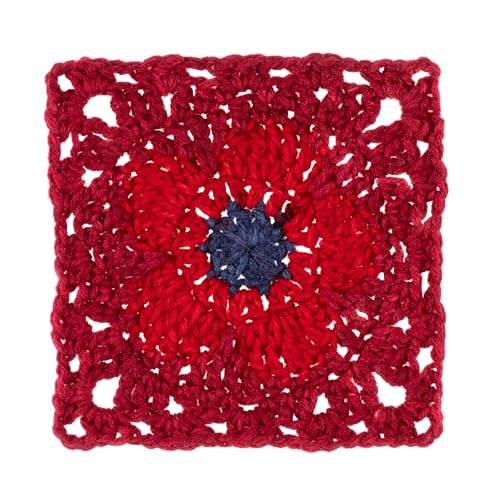 Red Heart All in One Flower Power Crochet Yarn, Burgundy Blossom, 3-Pack | #4 Medium Worsted Weight 100% Acrylic Striping Yarn for Crochet and Knitting, Up to 12 Flower Motifs, 440 yards, 250g/8.8oz - color: Burgundy Blossom