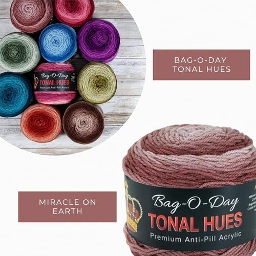 Mary Maxim Bag-O-Day Tonal Hues Ombre Yarn for Crocheting and Knitting, Medium Worsted Weight Anti-Pilling Acrylic Yarn Cake - 280 Yards, 5.3 OZ, Miracle on Earth - color: Miracle on Earth