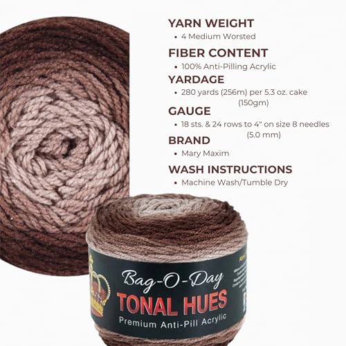 Mary Maxim Bag-O-Day Tonal Hues Ombre Yarn for Crocheting and Knitting, Medium Worsted Weight Anti-Pilling Acrylic Yarn Cake - 280 Yards, 5.3 OZ, Delilah My Dear - color: Delilah My Dear