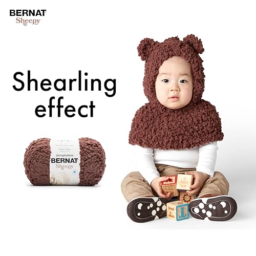 Bernat Sheepy Rosemary Yarn - 2 Pack of 250g/8.8oz - Nylon - 6 Super Bulky - 149 Yards - Knitting/Crochet - color: Rosemary