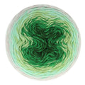 Scheepjes Whirl Fine Art Gradient Yarn 220g - 653 Fauvism, Merino Blend