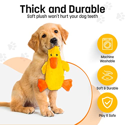 FGA MARKETPLACE Duck and Frog Flat NO Stuffing NO Squeak Plush Dog Toy, Funny Style Will Entertain Your Pet for Hours, Recommended for Small and Medium Dog 21 INCH Long - color: DUCK FROG