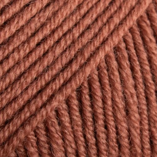 Premium Merino Yarn 4Ply Wool, Set of 10 Superwash Baby Merino - 100% Pure Extra Fine Merino Knitting Crochet Wools 50G Ball - color: Canyon Clay (27), size: 10 Units