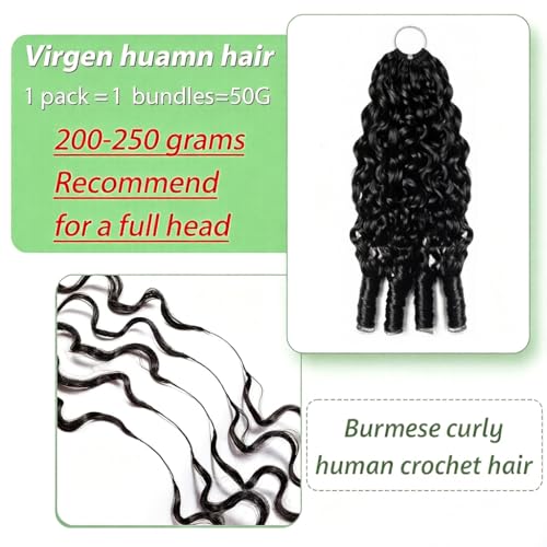 Natural Black 20inch Burmese Curly Crochet Human Hair Extensions: Knotless Pre-Separated Feather Style, Lightweight Reusable Remy Hair with Spiral Curls for Women, 50g - color: #1B (BC), size: 20 Inch