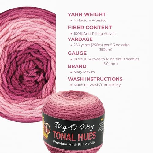 Mary Maxim Bag-O-Day Tonal Hues Ombre Yarn for Crocheting and Knitting, Medium Worsted Weight Anti-Pilling Acrylic Yarn Cake - 280 Yards, 5.3 OZ, Exquisite Clutter - color: Exquisite Clutter