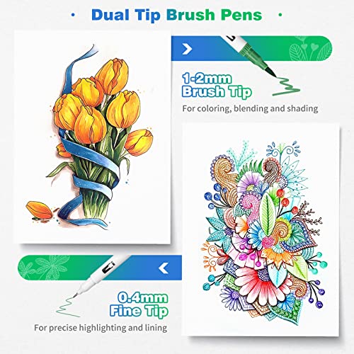 Eglyenlky Markers for Adult Coloring,100 colors,Dual Brush Pens | Art Coloring Pens,Fine Tip and Brush Tip for Adult Kids Drawing Lettering Calligraphy (White Set) - color: 100 Colors-White