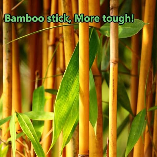 2000pcs Precision Tip Cotton Swabs for Makeup, Double Pointed Cottonbuds | Bamboo sticks - size: 20 Pack（2000）