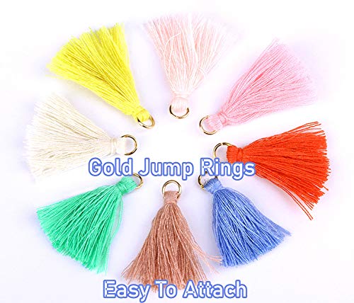 MSCFTFB 100 Pieces Mini Tassels Mala Tassel Kit with Jump Rings for Earring Necklace Jewelry Making Garland Keychain Charms Crafts Decorations(Watermelon) - color: Watermelon
