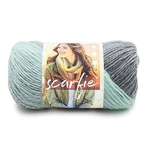 Lion Brand Yarn (1 Skein) Scarfie Bulky Yarn, Mint/Silver | Bulky Acrylic Wool Blend Knit & Crochet Fiber for Self-Striping Scarves, Colorful Cardigans, Chunky Blankets, Hats - color: Mint/Silver, size: 1 Pack