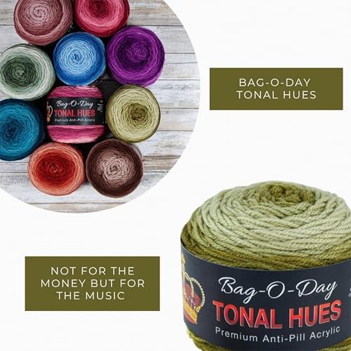 Mary Maxim Bag-O-Day Tonal Hues Ombre Yarn for Crocheting and Knitting, Medium Worsted Weight Anti-Pilling Acrylic Yarn Cake - 280 Yards, 5.3 OZ, Not for The Money But for The Music - color: Not For The Money But For The Music