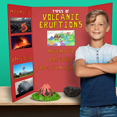 Flipside Products 36” x 48” Project Boards for Presentations, Science Fair, School Projects, Event Displays and Trifold Picture Board, Proudly Made in USA - Assorted Colors - 4 Pack - color: Assorted, size: 4 Pack