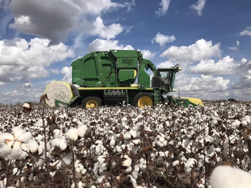 Grown in the USA Raw Cotton Stuffing, Batting, Filling (1lb) - size: 1lb