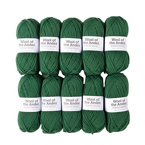 Knit Picks Wool of the Andes Green 100% Wool Yarn Pack for Knitting | 10 skeins (500g total) of soft worsted weight crocheting yarn in Grass color, good for felting. - color: Grass