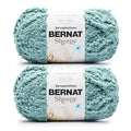 Bernat Sheepy Rosemary Yarn - 2 Pack of 250g/8.8oz - Nylon - 6 Super Bulky - 149 Yards - Knitting/Crochet - color: Rosemary