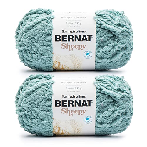 Bernat Sheepy Rosemary Yarn - 2 Pack of 250g/8.8oz - Nylon - 6 Super Bulky - 149 Yards - Knitting/Crochet - color: Rosemary