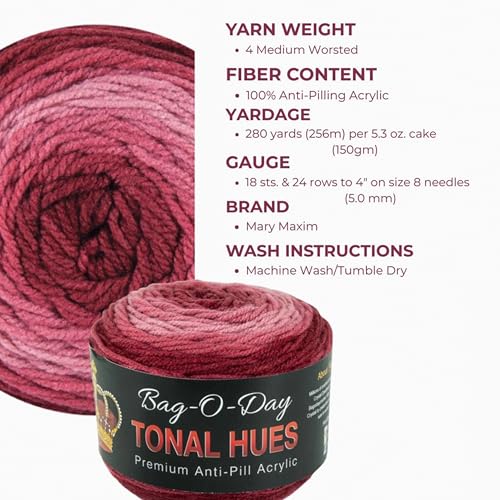 Mary Maxim Bag-O-Day Tonal Hues Ombre Yarn for Crocheting and Knitting, Medium Worsted Weight Anti-Pilling Acrylic Yarn Cake - 280 Yards, 5.3 OZ, Mister Fahrenheit - color: Mister Fahrenheit