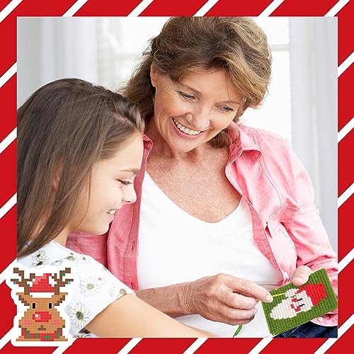 Pllieay Christmas 10-in-1 Cross Stitch Beginner Kit for Kids, Includes Instruction of 10 Different Patterns, 10 Printed Plastic canvases for Needlework, Needlepoint Starter Sewing Set - size: Christmas