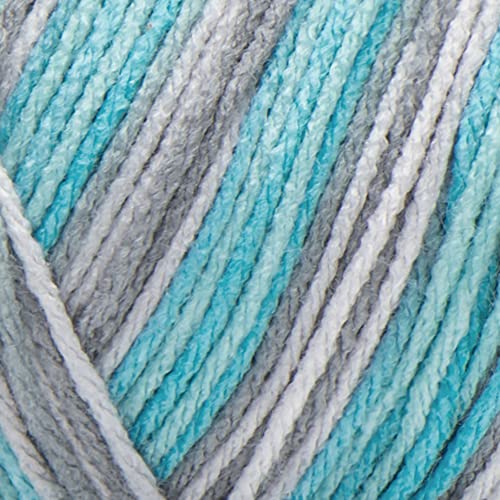 RED Heart 385957 Super Saver Yarn, Icelandic