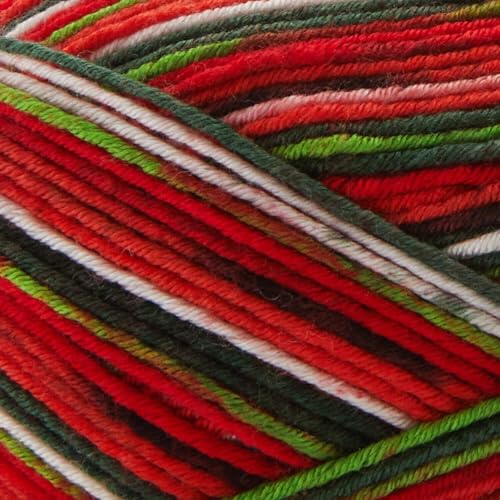 Premier Yarns Fruits Yarn, Acrylic Sock Weight Yarn for Crocheting and Knitting, 235 yds, Blueberry - color: Blueberry