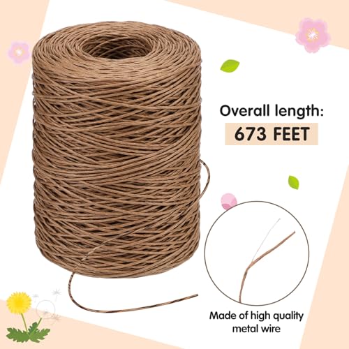 Syhood 673 Feet Floral Vine Bind Wire Rustic Craft Wire, Camel | For DIY Craft Wrapping, Flower Bouquets Garland Arrangements, , Christmas Wreath Making - color: Camel, size: 673 Feet