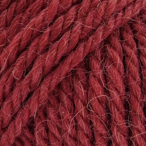 Luca-S ALPINO - Alpaca & Merino Yarn – 2 Skeins of Super Soft Aran Weight Yarn for Knitting & Crochet, 3.5 oz (100g), 164 yds (150m) Total, 60% Alpaca / 40% SF Merino - color: Brick 25, size: 2 Pack