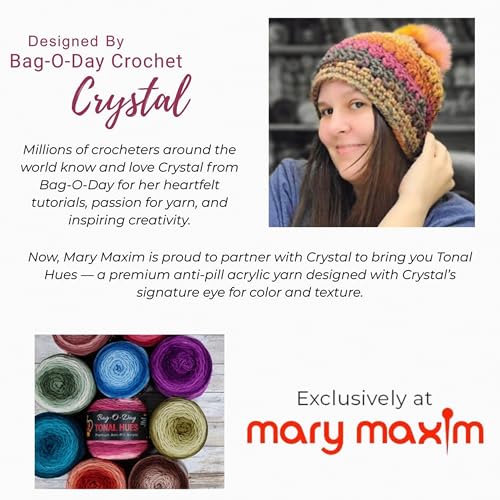 Mary Maxim Bag-O-Day Tonal Hues Ombre Yarn for Crocheting and Knitting, Medium Worsted Weight Anti-Pilling Acrylic Yarn Cake - 280 Yards, 5.3 OZ, Crystal Ice - color: Crystal Ice