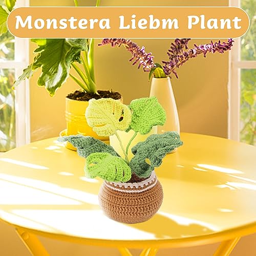 kgxulr Crochet Kit, Monstera Leaves Knitting Kit, Crochet Kit for Beginners | Crochet Kit for Beginners, Crochet Flower Kit, Beginner Crochet Kit for Adults with Step-by-Step Video Tutorials - color: Monstera Leaves