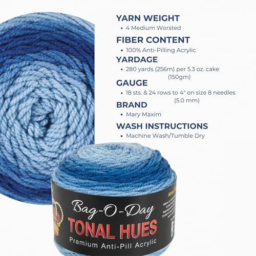 Mary Maxim Bag-O-Day Tonal Hues Ombre Yarn for Crocheting and Knitting, Medium Worsted Weight Anti-Pilling Acrylic Yarn Cake - 280 Yards, 5.3 OZ, Crystal Ice - color: Crystal Ice